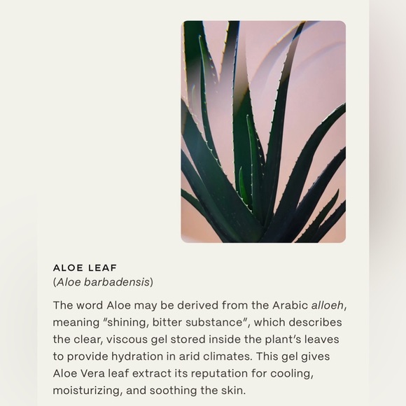 TwentyNine Palms Mesa Mystic Facial Exfoliating Solution - Picture 9 of 12